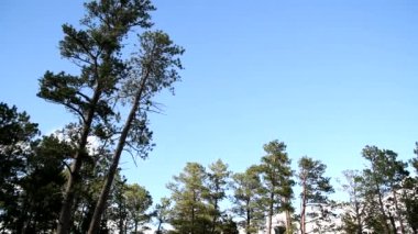 Şeytani Kule Ulusal Anıtı 'nın güzel panoramik manzarası