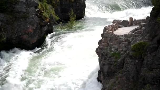 Vodopády v Yellowstone, Dolní vodopády, Grand Canyon of Yellowstone River, Wyoming, USA — Stock video