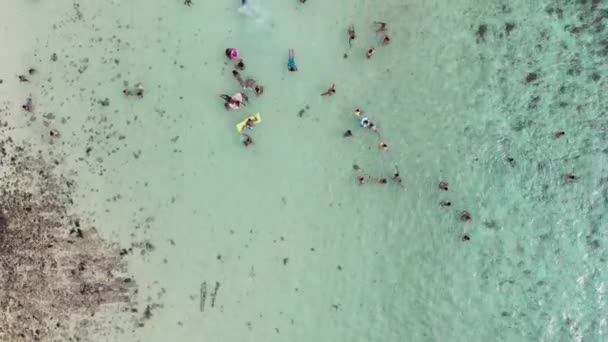 Κολυμβητές σε μια όμορφη παραλία, καταπληκτική θέα προς τα κάτω εναέρια — Αρχείο Βίντεο