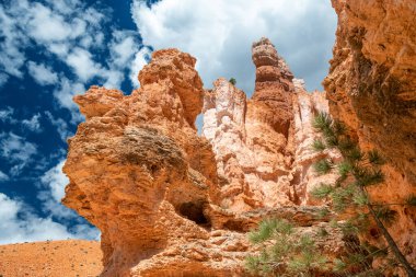 Queens Garden Trail, Bryce Canyon Ulusal Parkı, ABD.