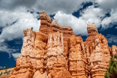 Queens Garden Trail, Bryce Canyon Ulusal Parkı, ABD.
