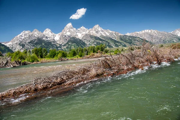 Yazın Wyoming Abd Inanılmaz Grand Teton Tepeleri — Stok fotoğraf