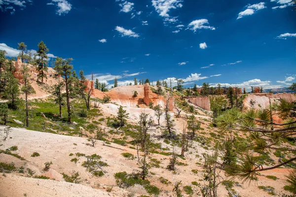 Queens Garden Trail Nel Bryce Canyon National Park Stati Uniti — Foto Stock