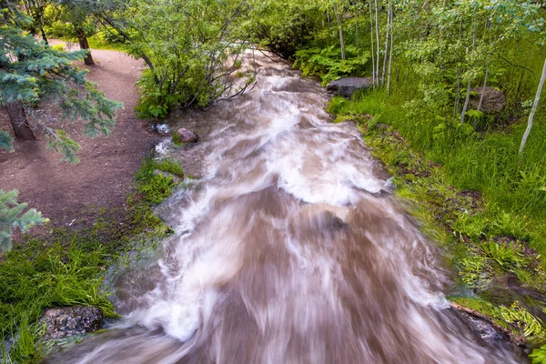 Fast Flowing Water Beautiful Waterfall Woods — Stock Photo, Image