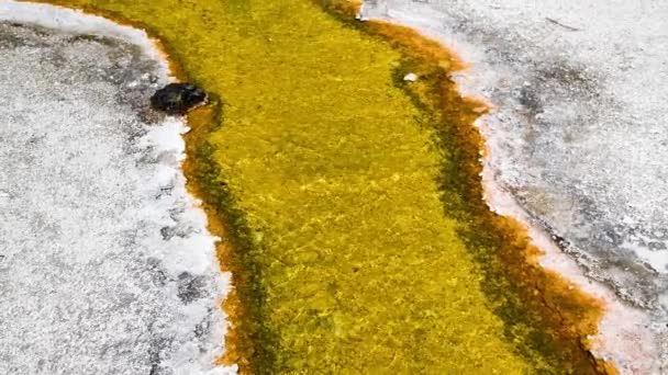 El agua corre sobre una superficie de esquisto rocoso con géiser y plataforma de observación en el fondo en el Parque Nacional Yellowstone - Estados Unidos — Vídeo de stock