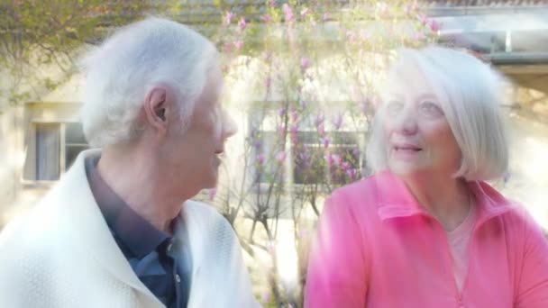Dışarıda birbirleriyle konuşan aktif yaşlı bir çift. Arkadan gelen ışık ışınları — Stok video