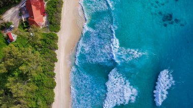 İnsansız hava aracından alınan deniz ve palmiyeli tropik plaj. Seyşeller 'in ünlü plajı - La Digue Grand Anse' nin havadan çekilmiş fotoğrafı.