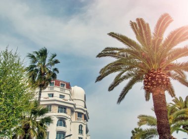 Bulutlu bir günde Fransa 'da Cannes binaları ve palmiyeleri.