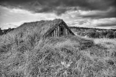 Çimlerin altında saklı ahşap evler, arka planda bulutlu gökyüzü..