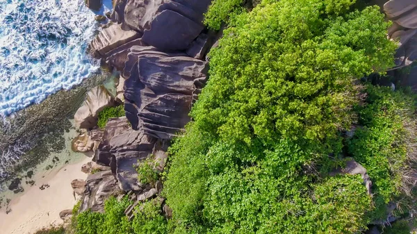 Vue Aérienne Une Île Tropicale Avec Mer Végétation Rivage — Photo