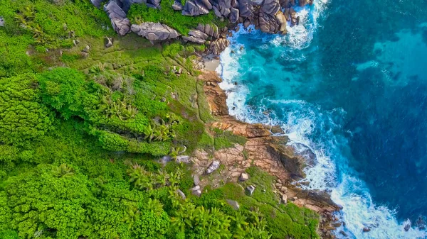 Playa Tropical Con Mar Palma Tomada Dron Seychelles Famosa Playa — Foto de Stock