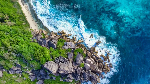 Deniz Bitki Örtüsü Kıyı Şeridi Olan Tropikal Adanın Havadan Görünüşü — Stok fotoğraf