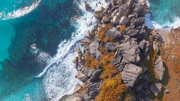 Praia Tropical Com Mar Palma Retirados Drone Praia Famosa Seychelles — Fotografia de Stock