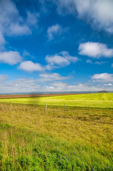 Beautiful Countryside Colors Iceland Summer — Stock Photo, Image