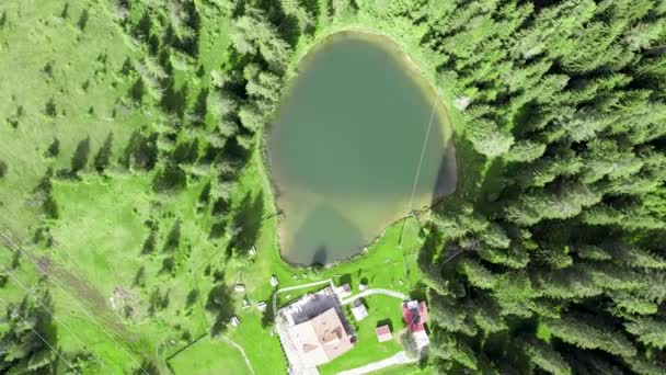 Lago Alpin in estate circondato da una bellissima foresta, sopraelevata vista aerea — Video Stock