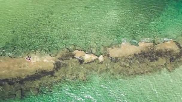 Incredibile vista aerea della costa toscana nella stagione estiva, Italia — Video Stock