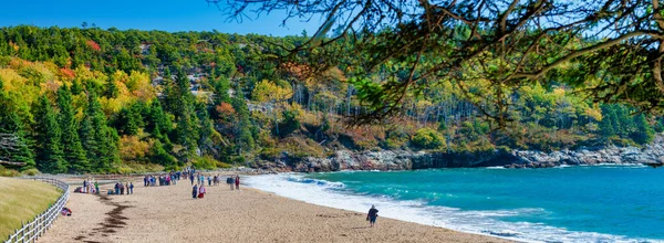 Plage Sable Dans Parc National Acadia Maine Usa — Photo