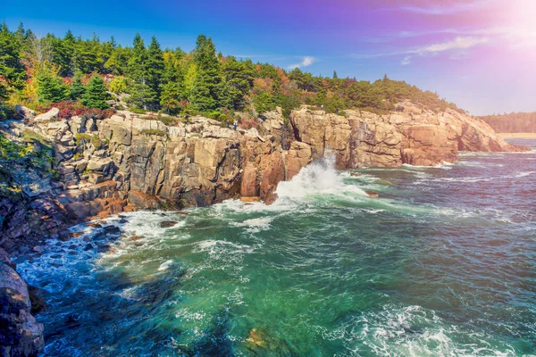 Acadia National Park Maine Küste Entlang Des Meeres Der Laubzeit — Stockfoto