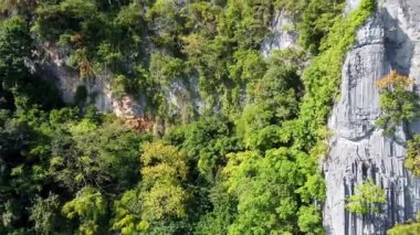 Phi Phi Don, Tayland 'ın inanılmaz kıyı şeridi. Güneşli güzel bir günde kristal berrak okyanusla hava manzarası.