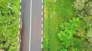 Güzel ada ormanı ve yol manzarası.