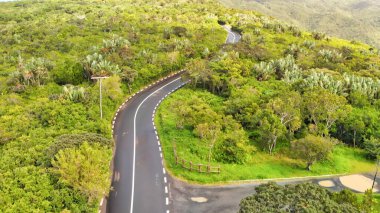 Güzel ada ormanı ve yol manzarası.