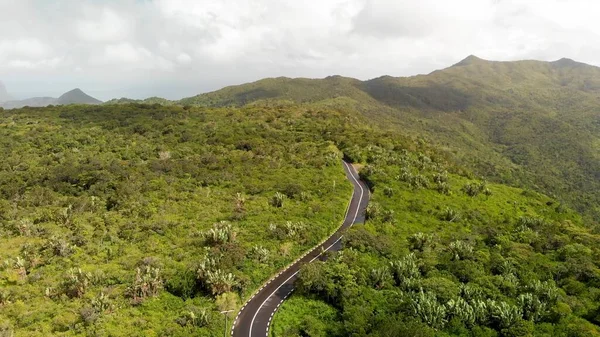 Hermosa Carretera Través Del Bosque Isla Vista Aérea — Foto de Stock