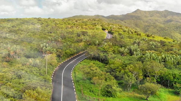 Vista Aérea Hermosa Isla Bosque Carretera —  Fotos de Stock