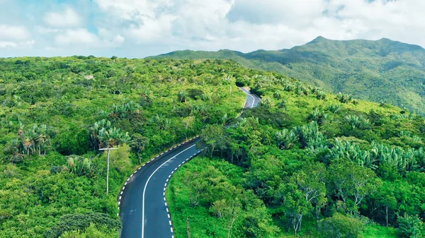 美しい島の森と道路の空中ビュー — ストック写真