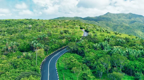 Vista Aérea Bela Ilha Floresta Estrada — Fotografia de Stock