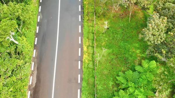 Uitzicht Vanuit Lucht Het Prachtige Eilandbos Weg — Stockfoto