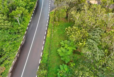 Güzel ada ormanı ve yol manzarası.