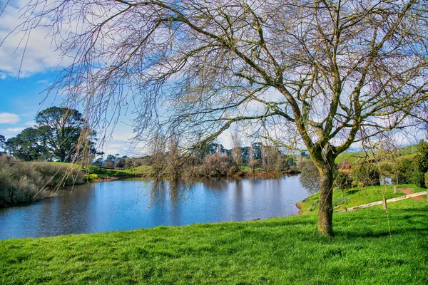 Озеро Хоббітон Нова Зеландія — стокове фото