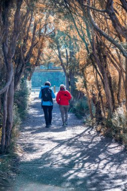 Sonbaharda arka manzaralı güzel bir sokakta yürüyen iki kadın..