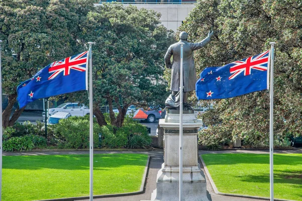 Zéland Zászlókat Lengetett Egy Wellington Városi Parkban — Stock Fotó