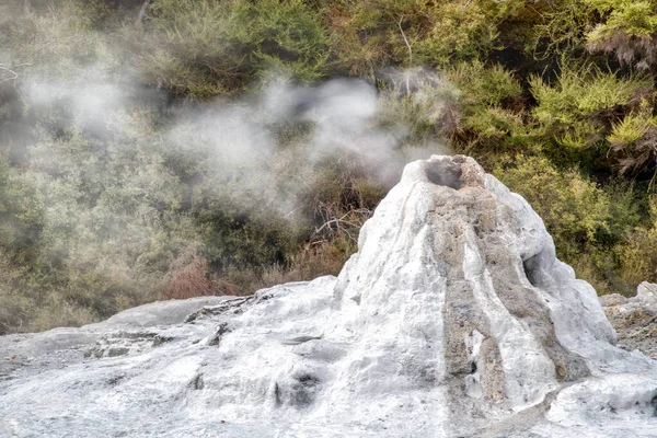 Lady Knox Geyser Fotapu Thermal Valley Роторуа Новая Зеландия — стоковое фото