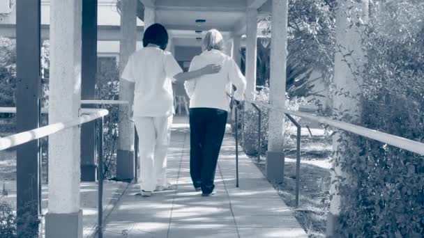 Пожилая женщина при содействии медицинского ассистента в ходячей реабилитации — стоковое видео