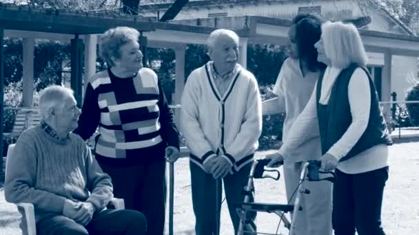 Zwei ältere Paare unterhalten sich im Freien mit einer afrikanischen Arzthelferin. Freizeit im Garten — Stockvideo