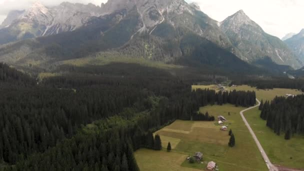 Εναέρια άποψη των δασών και των πεύκων, Ιταλικές Άλπεις — Αρχείο Βίντεο
