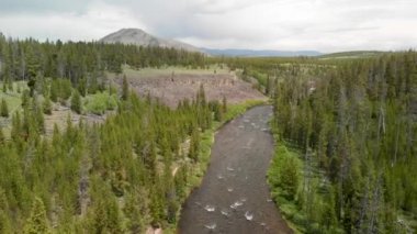 Üzerinde uçan güzel Yellowstone nehri dağ manzaralı, Wyoming