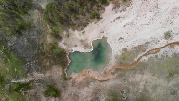 Yellowstone Geyser as seen from above. Pool in the middle of the forest, Wyoming — Stock Video