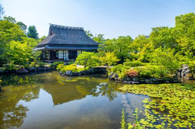 Nara 'daki Yoshikien Bahçesi büyük bir turistik ilgi odağı. Japon bahçesi, çay evi, Japonya..