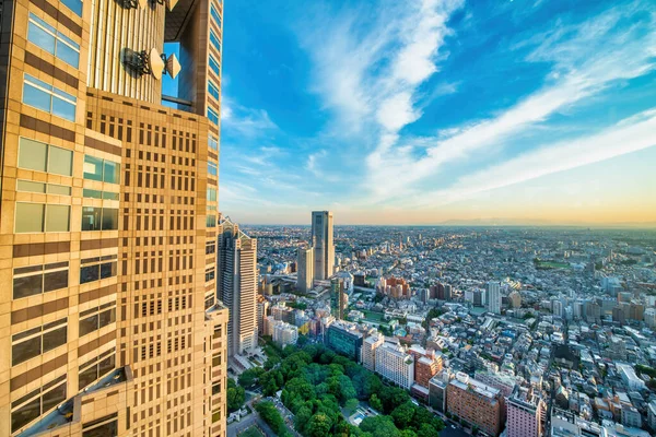 Aerial View Modern Skyscrapers Shinjuku Spring Sunset Tokyo — Stock Photo, Image