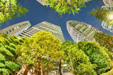 Tokyo 'nun modern gökdelenleri güzel bir bahar gecesinde, Japonya