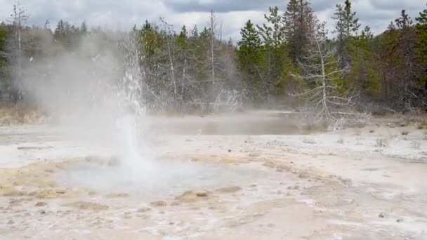 Mammoet Hot Springs geisers in Yellowstone National Park, WY - Verenigde Staten — Stockvideo