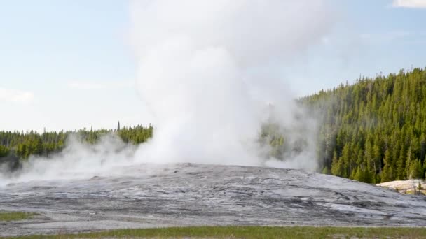 Utbrott av gamla trogna i Yellowstone National Park, WY - USA — Stockvideo