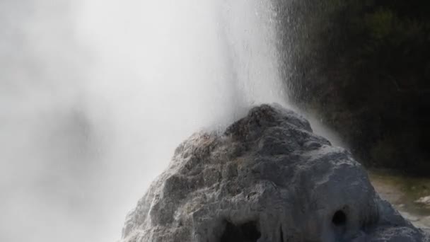 Piccola roccia con Eruzione Geyser, Nuova Zelanda. Rallentatore — Video Stock
