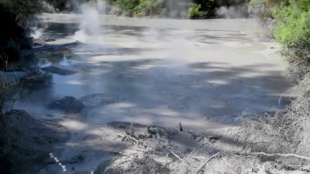 Piscinas de lama com líquido fervente, vale geotérmico natural — Vídeo de Stock