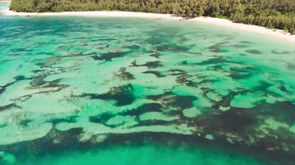 Vista aérea desde el dron de la isla de Benitiers, Mauricio — Vídeos de Stock