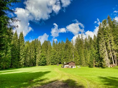Ormanın ortasında ahşap kulübe..