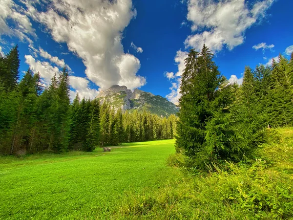 イタリアのドロマイト山脈の美しい森 — ストック写真